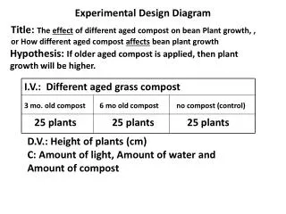 Experimental Design Diagram