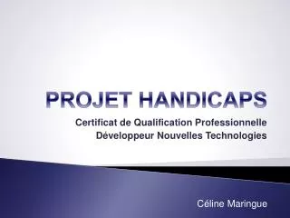 projet handicaps