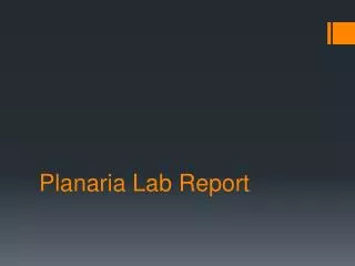 Planaria Lab Report