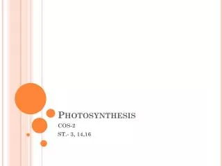 photosynthesis