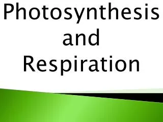 Photosynthesis and Respiration