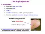 Les Angiospermes