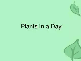 Plants in a Day