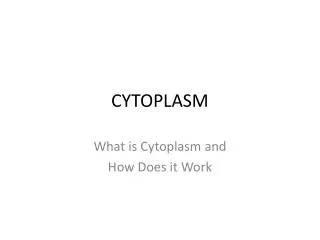 CYTOPLASM