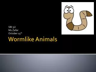 Wormlike Animals