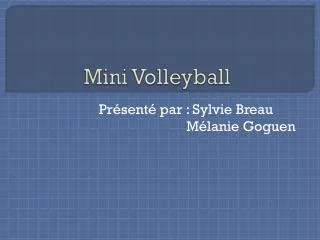 mini volleyball