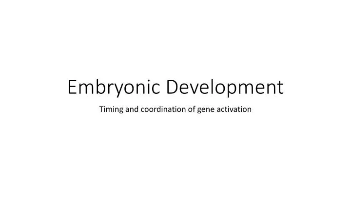 embryonic development