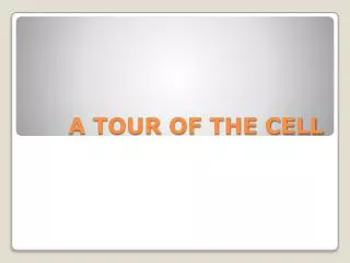 A TOUR OF THE CELL