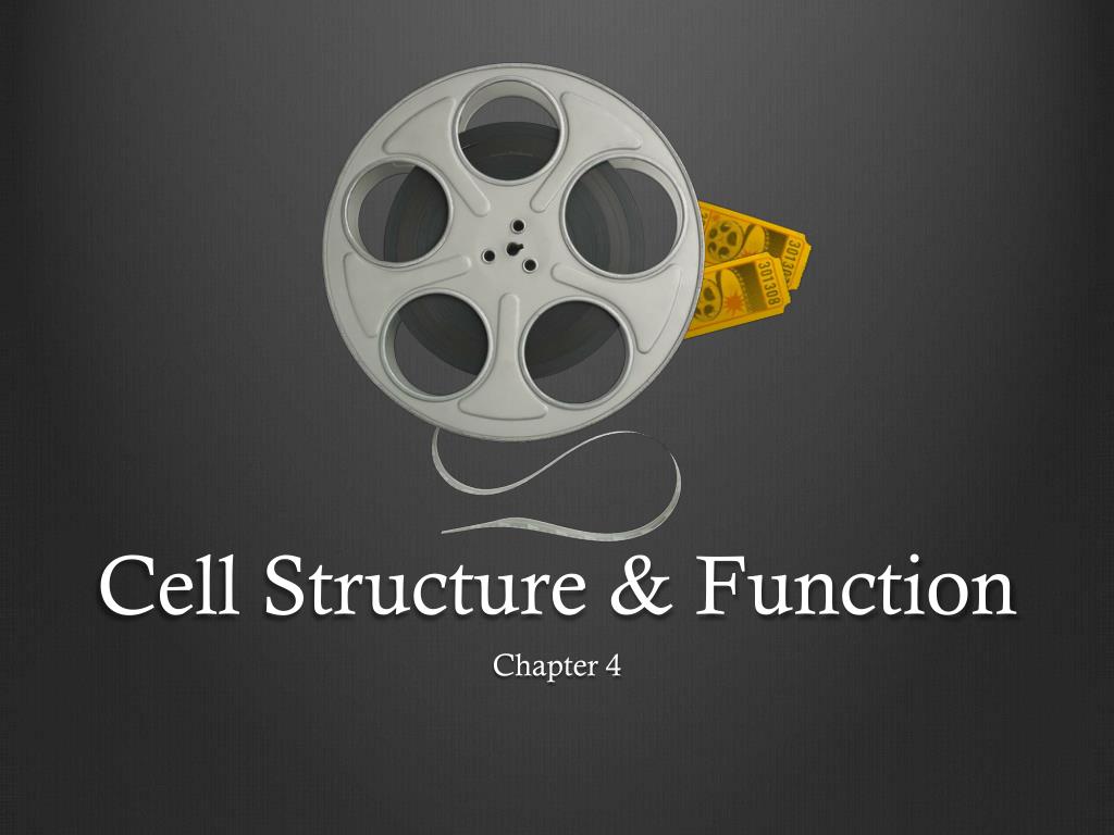 PPT - Cell Structure & Function PowerPoint Presentation, free download ...