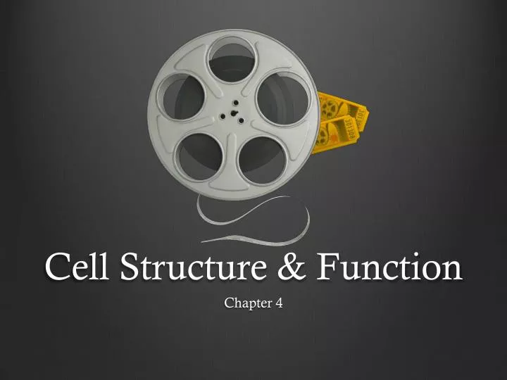 cell structure function