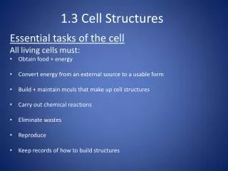 1.3 Cell Structures