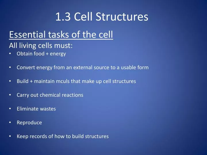1 3 cell structures