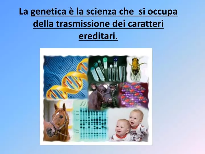 la genetica la scienza che si occupa della trasmissione dei caratteri ereditari
