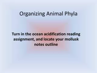 Organizing Animal Phyla