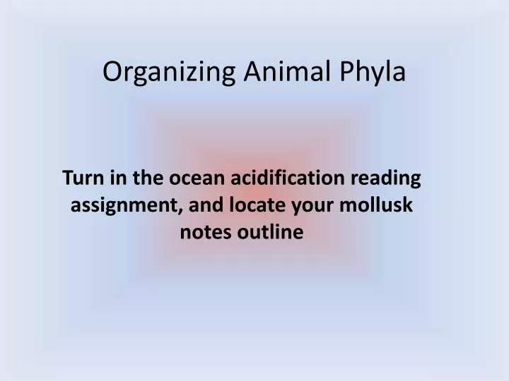 organizing animal phyla