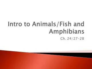 Intro to Animals/Fish and Amphibians