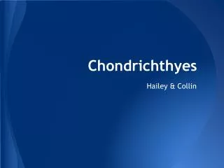 Chondrichthyes