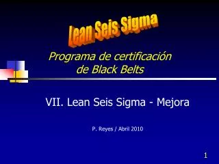 Programa de certificación de Black Belts