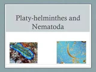 Platy-helminthes and Nematoda