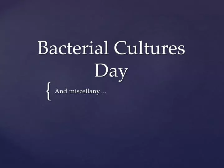 bacterial cultures day