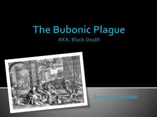 The Bubonic Plague AKA. Black Death