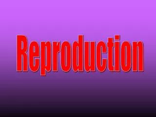 Reproduction