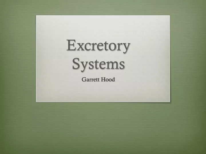 excretory systems