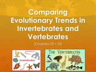 Comparing Evolutionary Trends in Invertebrates and Vertebrates
