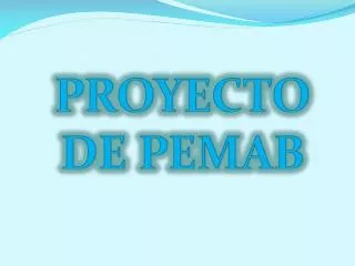proyecto de pemab