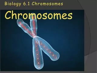 Biology 6.1 Chromosomes