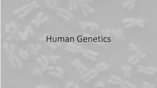 Human Genetics