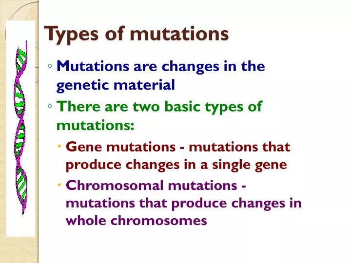 types of mutations