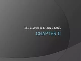 chromosomes and cell reproduction