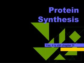 Protein Synthesis