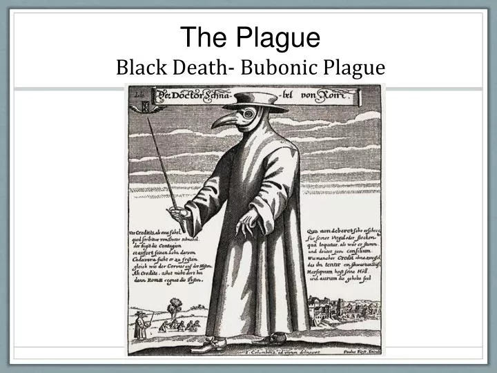 the plague black death bubonic plague