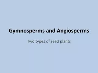 gymnosperms and angiosperms