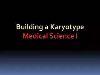 Building a Karyotype Medical Science I