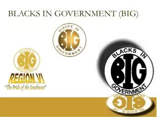 BLACKS IN GOVERNMENT (BIG)