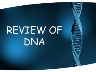 REVIEW OF DNA