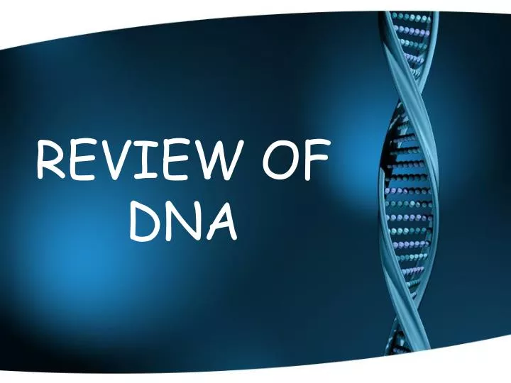 review of dna
