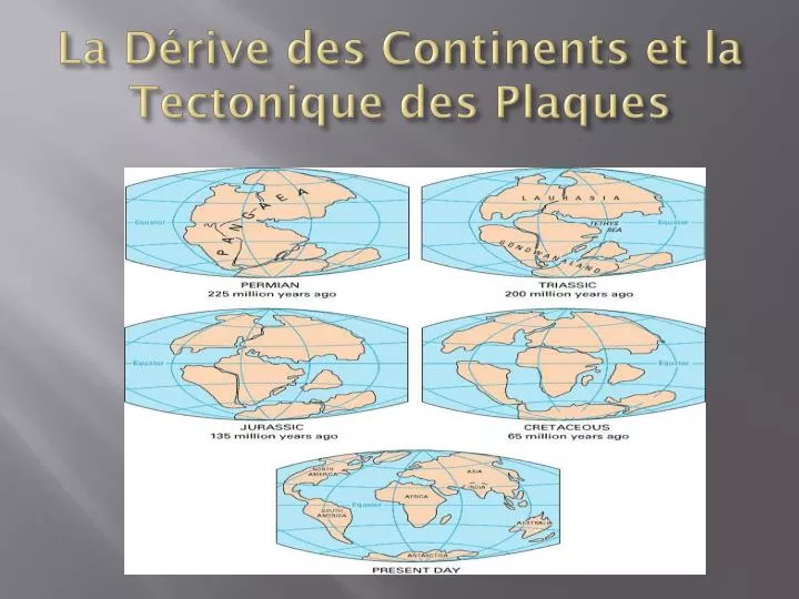 la d rive des continents et la tectonique des plaques