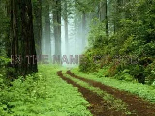 in the name of god