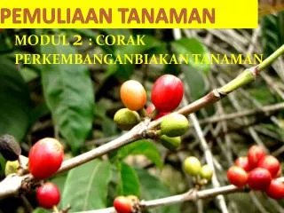 pemuliaan tanaman