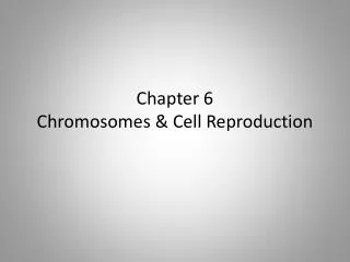 Chapter 6 Chromosomes &amp; Cell Reproduction