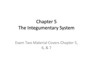 Chapter 5 The Integumentary System
