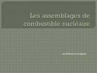 les assemblages de combustible nucl aire