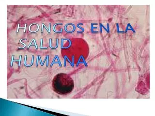 HONGOS en LA SALUD HUMANA