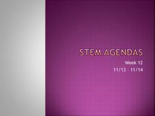 STEM Agendas