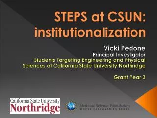 STEPS at CSUN: institutionalization