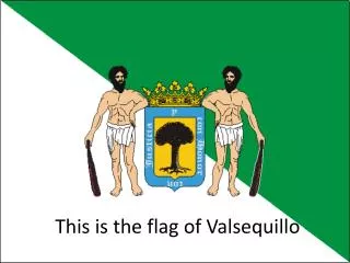 This is the flag of Valsequillo
